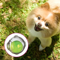 Chase n Chomp textured-surface squeaker ball enhances grip and engagement during throws.