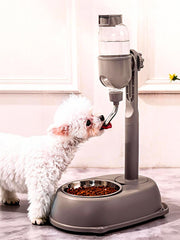 Chazcool 360-degree rotating ball controls water flow for precise drinking.