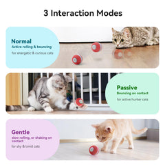 Cheerble ball toy in motion attracts cats with motion and lights for chase fun.