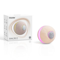 Cheerble Wicked Ball M3 on hard floor demonstrates versatile indoor play for hours of engagement