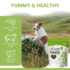 Chew and Heal Labs berries and veggies closeup highlights antioxidants and fiber.