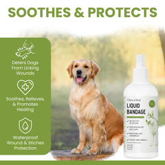 Chew + Heal Labs breathable waterproof barrier protects dog wound during play.
