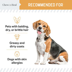 Chew + Heal Labs omega-3 softgel helps soothe itchy skin in dogs.