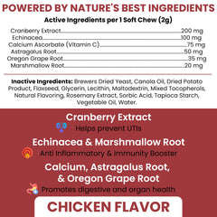 Close-up of cranberry soft chew from Chew + Heal Labs designed for dog-friendly texture.