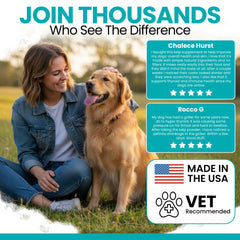 Kelp powder meal topper blending into dog food for gut health.