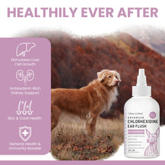 Chew + Heal Labs label highlights chlorohexidine and ketoconazole ingredients.
