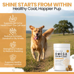 Chew Heal Labs Omega-3 dog soft chews with coat glow on display.