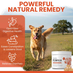 Close up of Chew Heal Labs pumpkin apple carrot blend powder