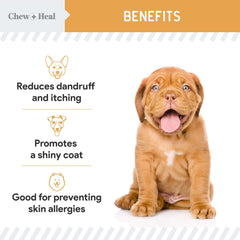 Chew + Heal Labs Salmon Oil dog coat close-up highlights nourishment for skin.
