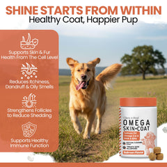 Chew + Heal Labs Salmon Oil bottle shows USA-made quality for dogs.