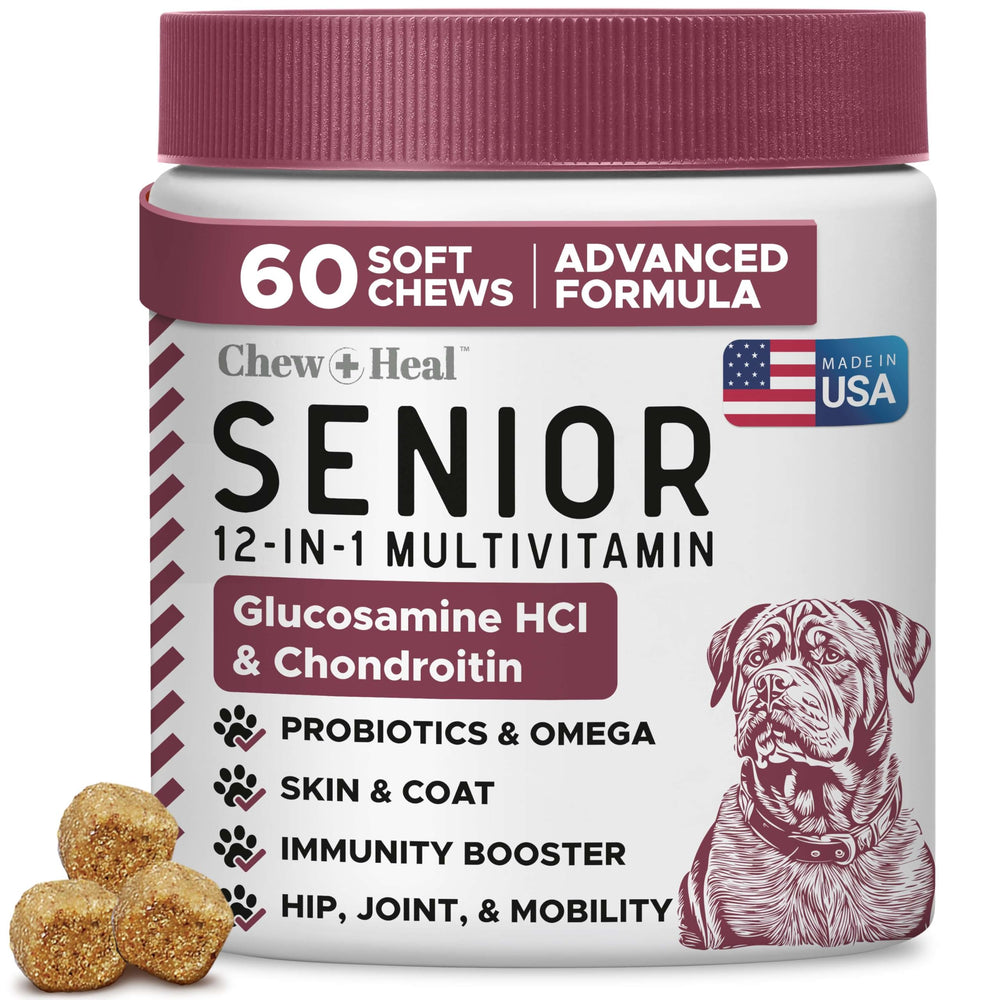 Chew + Heal Labs senior dog multivitamin bottle with 60 soft chews for daily vitality.
