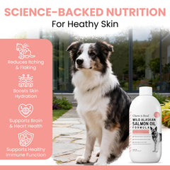Chew + Heal Labs salmon oil pour spout for simple distribution at meals