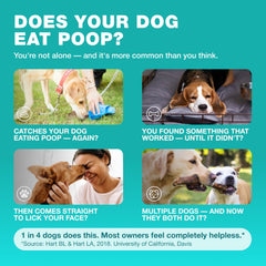CHEWIA dog probiotics and enzymes ingredients displayed for digestive health.