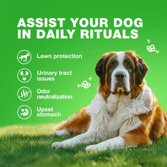 Ingredients panel visible on CHEWIA Grass Spot Chews packaging
