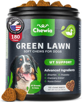 CHEWIA Grass Spot Chews packaging showing dog-friendly formula for digestion
