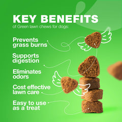 CHEWIA Grass Spot Chews closeup highlighting soft texture and aroma