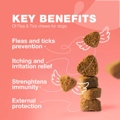 CHEWIA immune-support chews highlight immune health support for dogs.