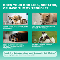 CHEWIA probiotic chews with pumpkin powder for healthier stool