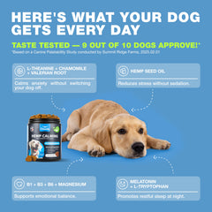 CHEWIA Valerian Root guided chew aiding daily canine relaxation