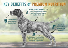 Chicken Soup for the Soul dry dog food ingredients panel emphasizes quality protein and wholesome grains-free formula.