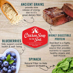 Chicken Soup for the Soul antioxidants support immune health.