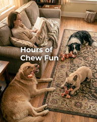 ChienBox Cross-Bone chew with varied texture for extended chewing.