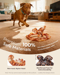 ChienBox ultra-dense nylon chew toy designed for tough chewers