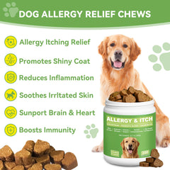 ChoHeel allergy chews jar label highlighting 200-count supply and immune support.