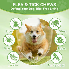 ChoHeel soft chicken-flavor chews close-up showing texture dogs love