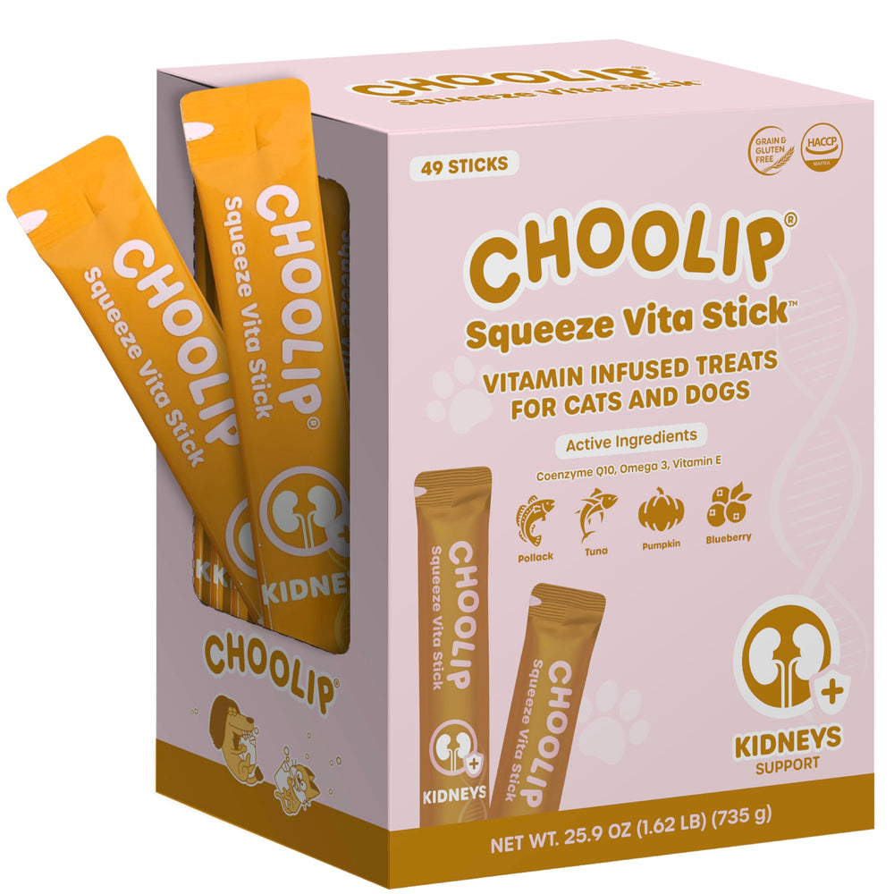 Choolip Squeeze Vita Stick packaging for kidney-support treats in a box