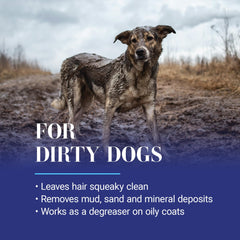 Dog bath with Clean Start removes dirt for a refreshed coat