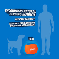 Chuckit! Big Air Ball no bite zone encourages gentle herding and non-chewing play.