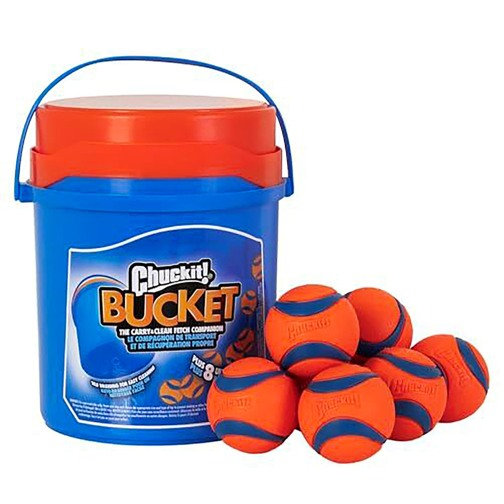 Chuckit Ultra Ball dog toy, 2.5 inch diameter, ideal for medium dogs and outdoor fetch.