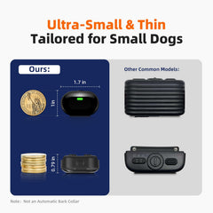 Chupolik light thin dog collar with slim profile for comfortable daily wear.