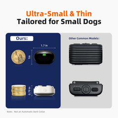 Chupolik small-dog collar with breathable strap for comfortable daily wear
