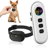 Chupolik ultra-small bark collar on a small dog for discreet training