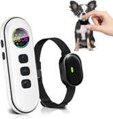 Chupolik ultra-small dog collar remote for precise training on small dogs.