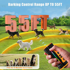 Chwwen night LED flashlight illuminates nighttime walks.