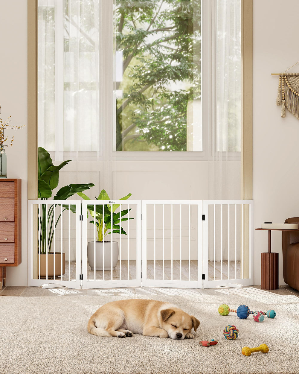 Cideny freestanding dog gate indoors with tool-free setup for clear boundaries