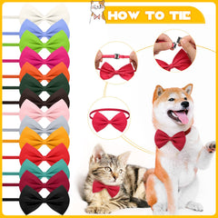 Cindeer soft polyester bow ties provide comfortable, skin-friendly wear.