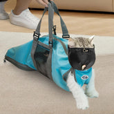 Cinf cat blue muzzle front view for safe grooming during bath time.