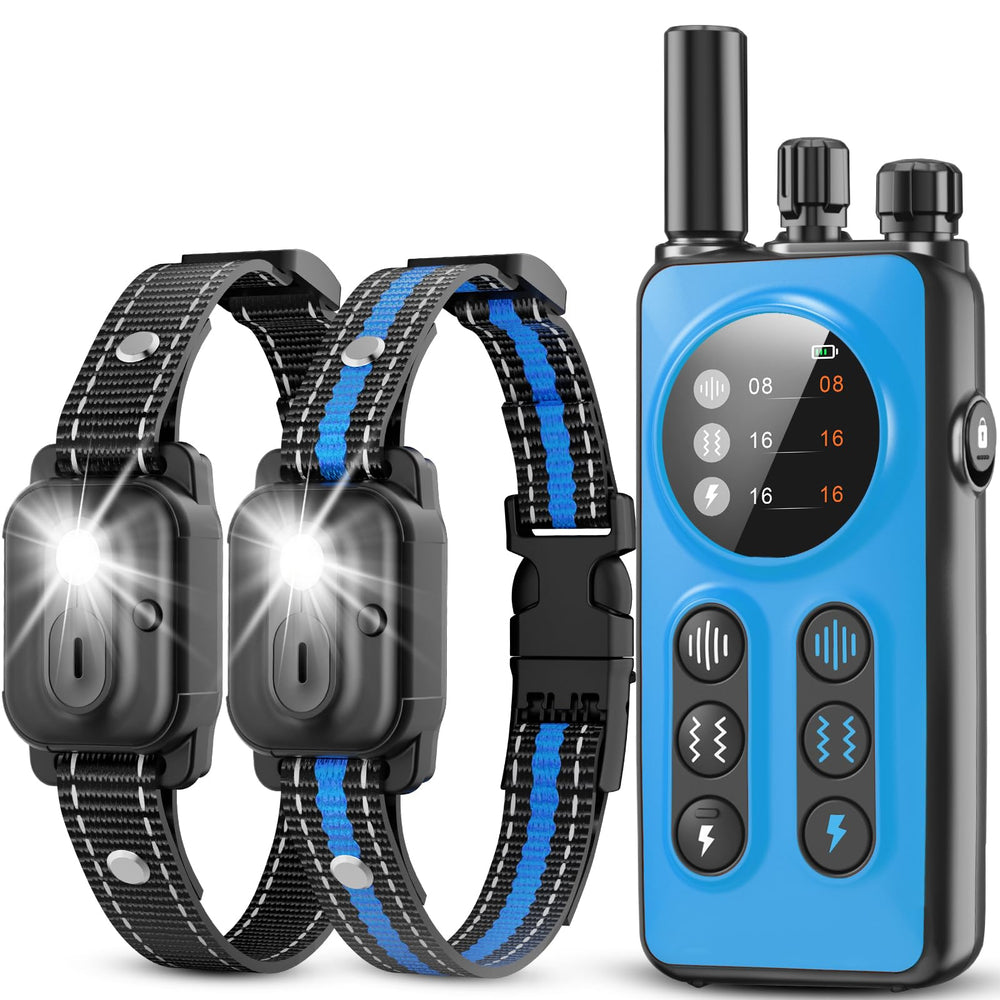 CIUZL dual-channel remote controls two dogs for simultaneous training