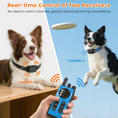 CIUZL two-receiver collars enable consistent real-time corrections