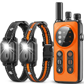 CIUZL dual-channel remote setup for training two dogs at once