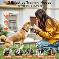 CIUZL remote enables training two dogs at once during outdoor walks.