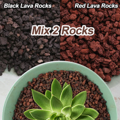 CJGQ lava rocks for succulents in containers; decorative and breathable media