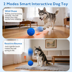 Ckin pet Smart Ball bouncing motion illustrates high-energy play that excites dogs.