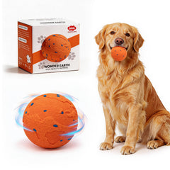 Ckin pet smart ball front view for engaging at-home play and exercise