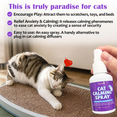 Clawzbey Deterrent Spray reinforces boundaries and discourages access to restricted zones.