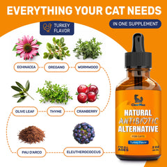 Clear Max antibiotics for cats aids respiratory comfort and appetite during routine care.